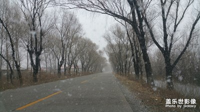 【晚秋光影】+從晚秋到初冬