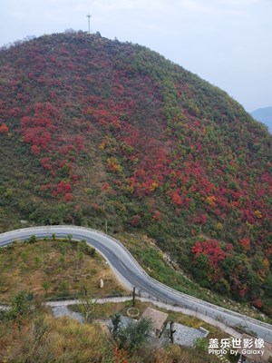 用note10+隨便拍一張照片都很漂亮