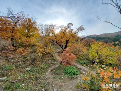 分享一波Galaxy Note 10+ 5G風(fēng)景圖片