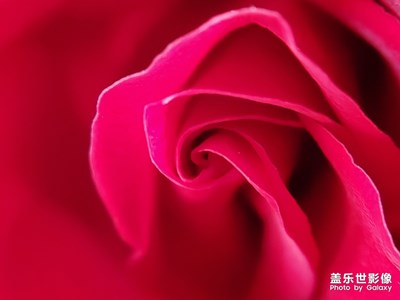 周末隨拍