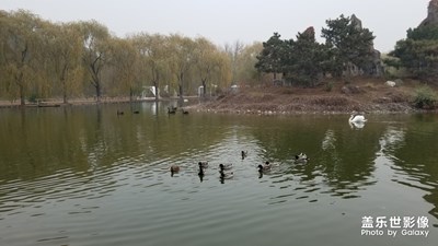 【晚秋光影】+野生動(dòng)物園