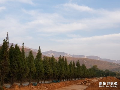 【晚秋光影】+漸行漸遠漸無書