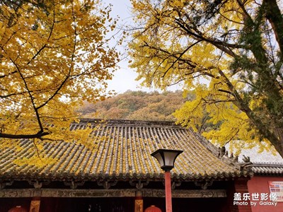 【晚秋光影】+宛如彩霞