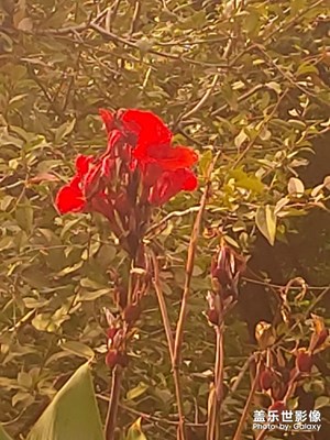 秋日的復(fù)興公園