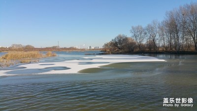 【晚秋光影】+晚秋到初冬