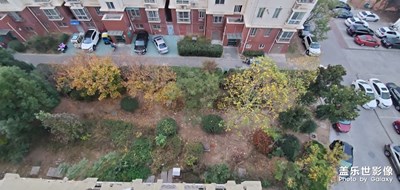 ??????????????????????????好看