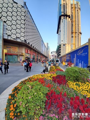 【我的城】+天津衛(wèi)