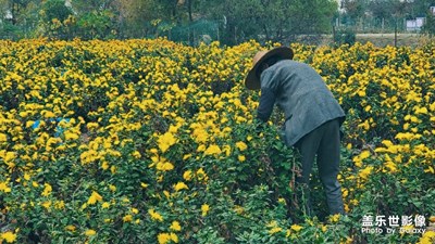 無錫山聯(lián)村