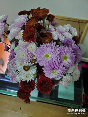 花朵朵????????????????