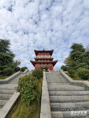 note 10+在公園隨手拍的