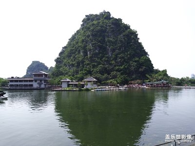 【倒影】+湖邊樹影