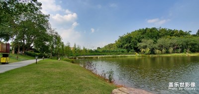 坐標(biāo)廣東新興禪宗六祖故里