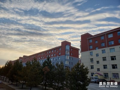 三星相機與谷歌相機 拍照對比