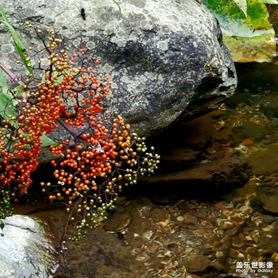 鄉(xiāng)間偶得