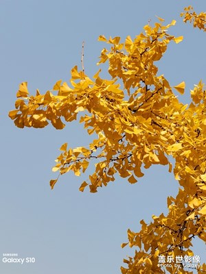 夸一夸s10的相機