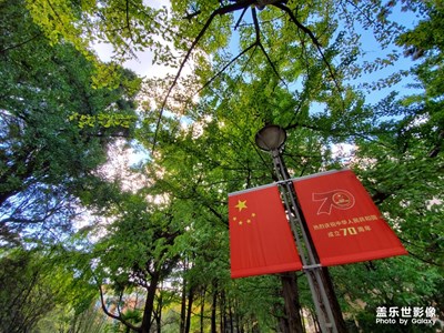 普通民眾用三星note10+拍出來(lái)的照片怎么樣？