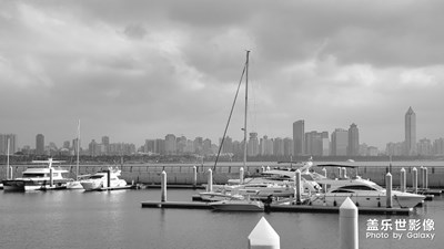 天高任鳥飛，海闊憑魚躍。