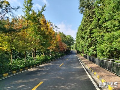 家鄉(xiāng)美不美？