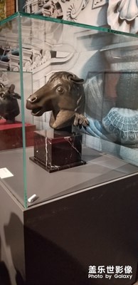 國(guó)博回歸馬首