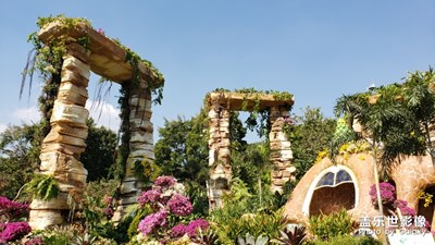 勒杜鵑花展，置身于花的海洋