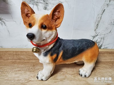 【享拍一刻】+隨手拍