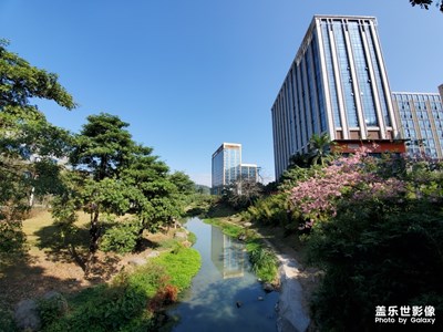 【享拍一刻】+冬日暖陽