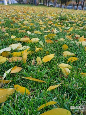 秋已盡，冬來(lái)臨……