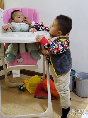 勝融讓梨－－大孫子（2歲半）喂妹妹吃早點!好感人呢!