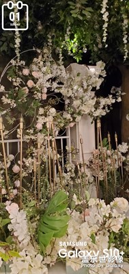 十二月快樂??????