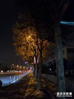 隨手拍的一張照片