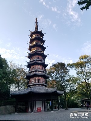 【初冬印象】