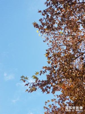 【我愛(ài)我的城】隨手拍