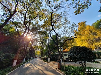 【初冬印象】+ 暖冬