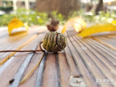 學(xué)校半天游