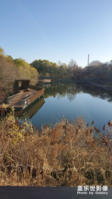 我用s10的風(fēng)景照。