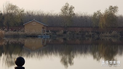 【初冬印象】+ 冬