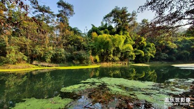 冬日，確定暖冬