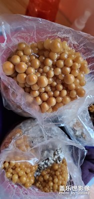 【色彩】+各種色