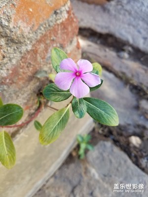 【色彩】+五彩繽紛