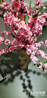 【2019最美瞬間】