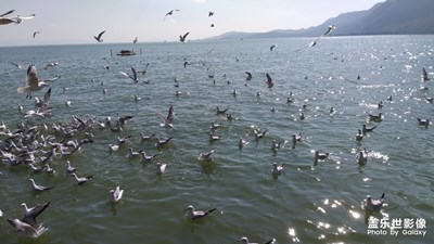 滇池海埂公園