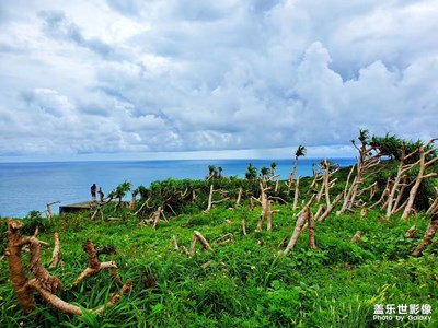 【2019最美瞬間】*自由行