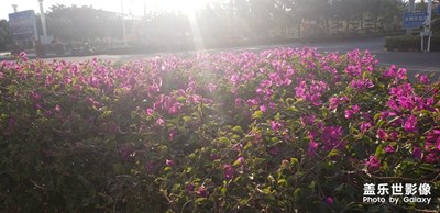 【2019最美瞬間】+日與夜