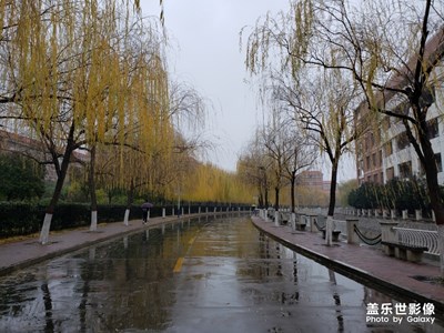 下雨，真倒霉的一天。