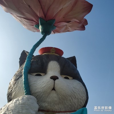 被貓鄙視了