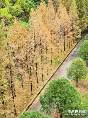 【2019最美瞬間】+風景如畫，四季皆好！