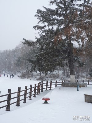 【2019最美瞬間】雪中拍