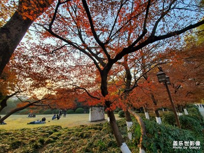 【2019最美瞬間】西湖