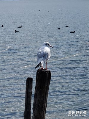 【2019最美瞬間】我的旅拍風景最美瞬間
