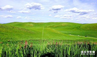 【2019最美瞬間】+美麗的草原我的家